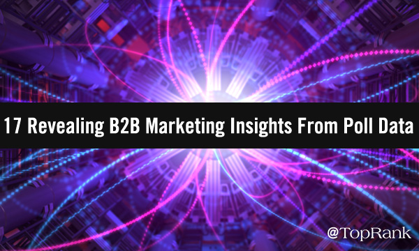 17 Poll Insights Purple Tech Background Image