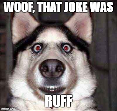 Woof, That Joke Was Ruff Meme