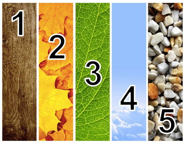 5 Elements Linkedin