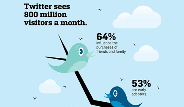 birds-view-video-on-twitter