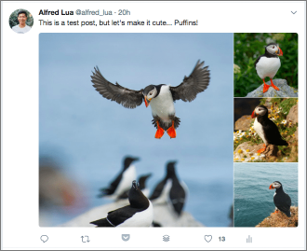Twitter Multiple Images on Desktop