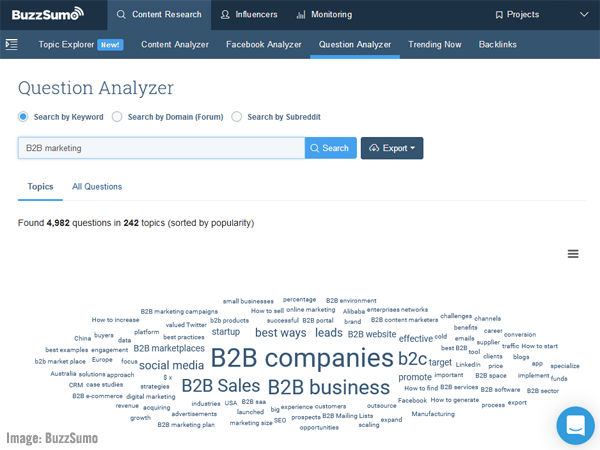 BuzzSumo Question Analyzer screenshot.