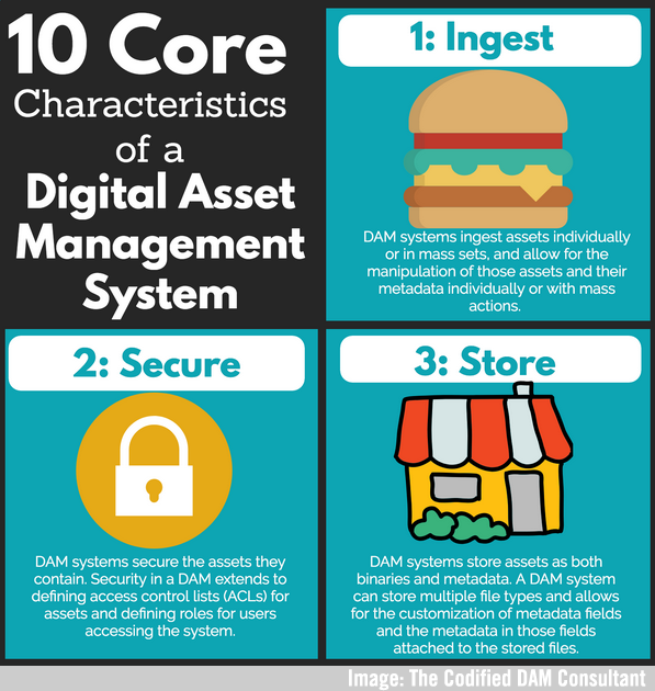 Codified Consultant DAM Image