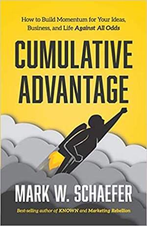 Mark Schaefer Book