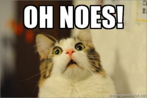 Oh No Cat