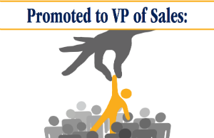 Sales Benchmark Index VP of Sales Toolkit