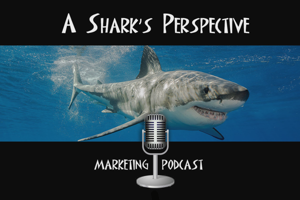 Sharks Perspective Image
