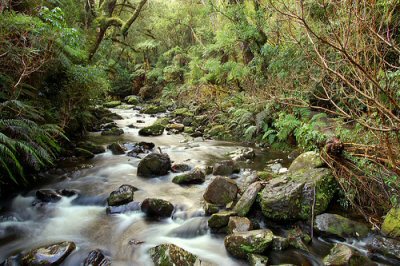 Catlins Coast New Zealand