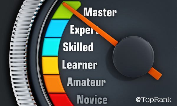 Guage showing levels from novice to master image.
