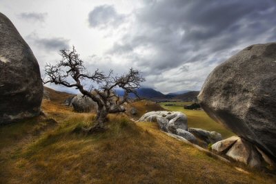 Great Alpine Road, Castle Hill New Zealand