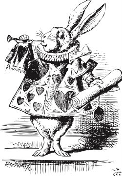 Rabbit 