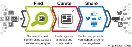 Curation Process