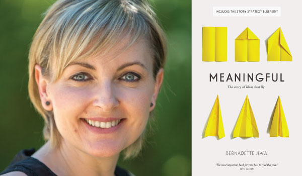 meaningful-the-story-of-ideas-that-fly