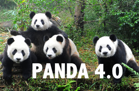 Google Panda 4.0
