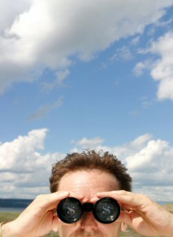 search marketing trends