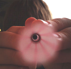 SEO Content Marketing Small Business