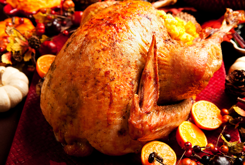 Thanksgiving Turkey