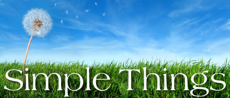 Simple Things