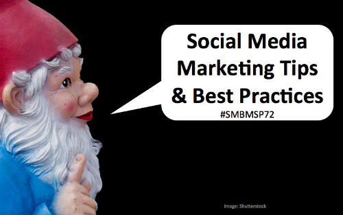 Social Media Gnome