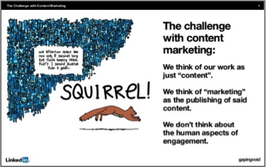 squirrel!