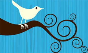 Twitter Marketing