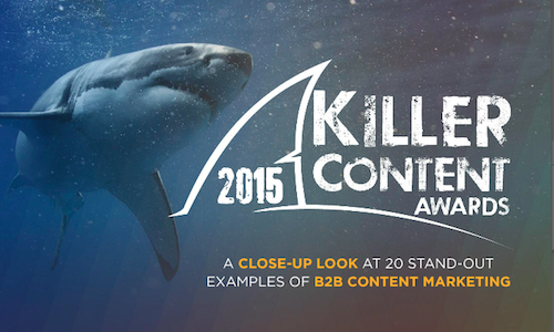 20 B2B Content Marketing Examples and Case Studies for 2015